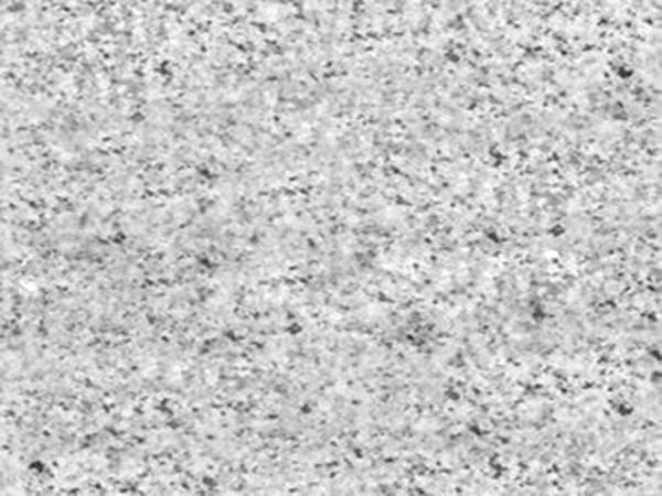 山东白麻为何适合做水景？